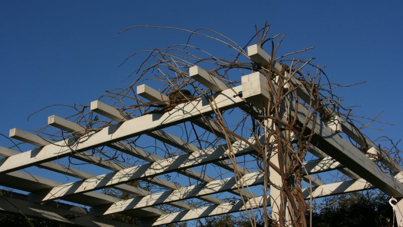 De voordelen van een pergola