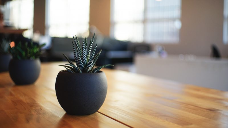 Hoe bescherm ik het beste mijn tafel?